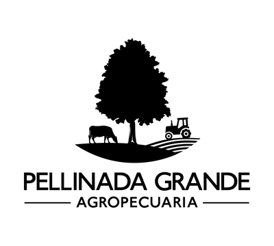 images/clients/pellinada-grande-small.png